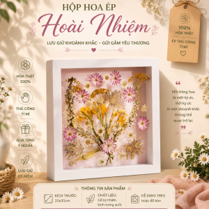Hoa Hoài Niệm
