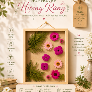 Hoa Hương Rừng