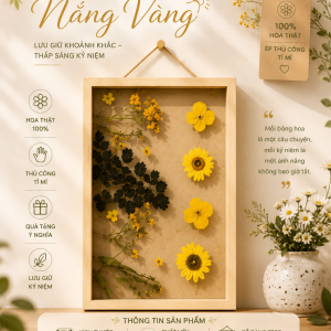 Hoa Nắng Vàng 🌼